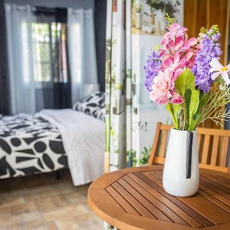 Dos Morenas Apartments - Apt 3 Bajo Boquete エクステリア 写真