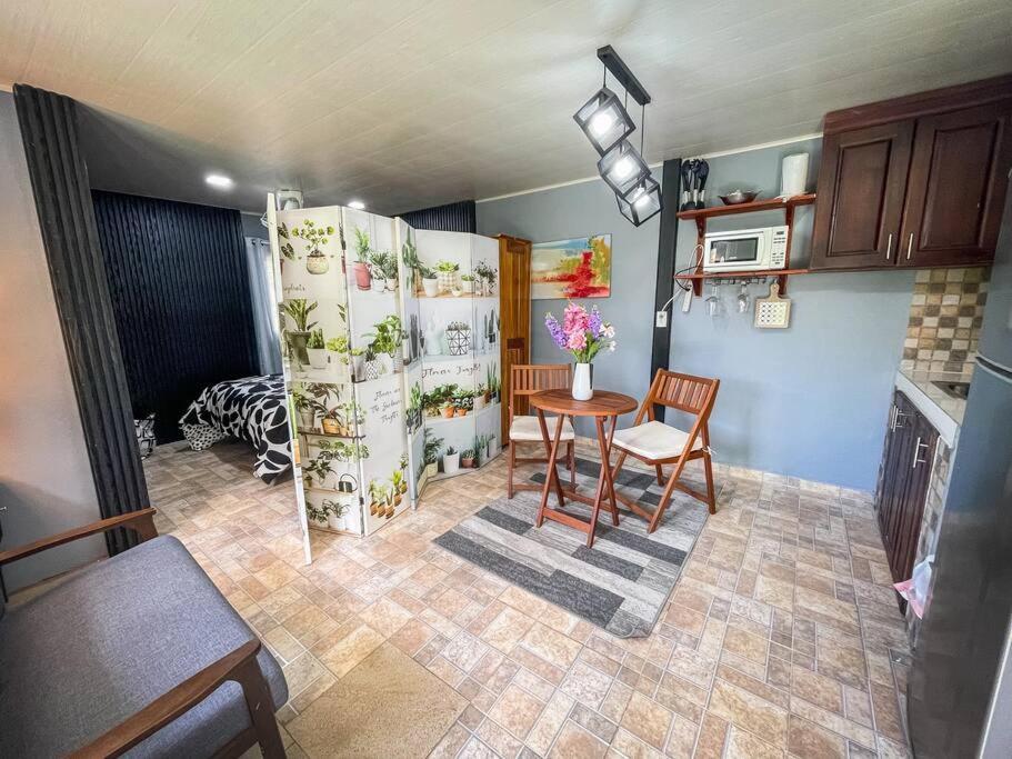 Dos Morenas Apartments - Apt 3 Bajo Boquete エクステリア 写真
