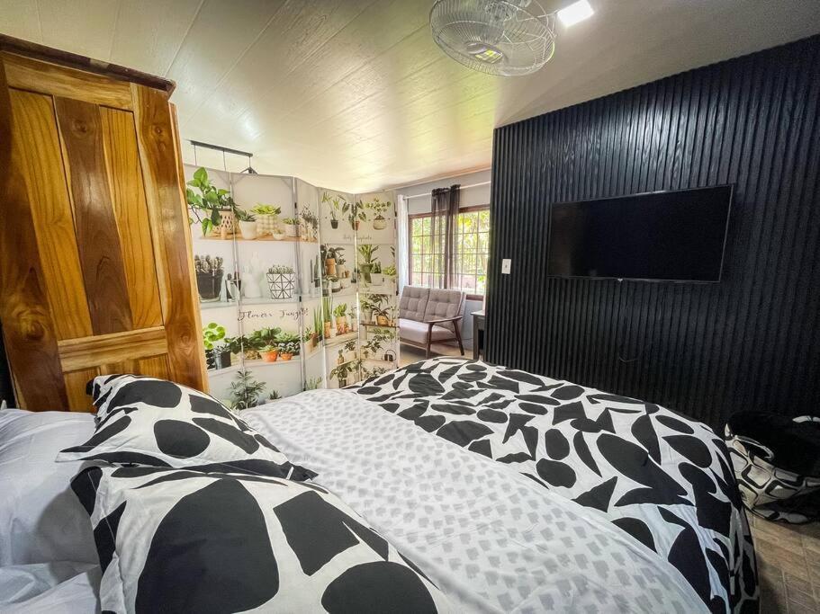 Dos Morenas Apartments - Apt 3 Bajo Boquete エクステリア 写真