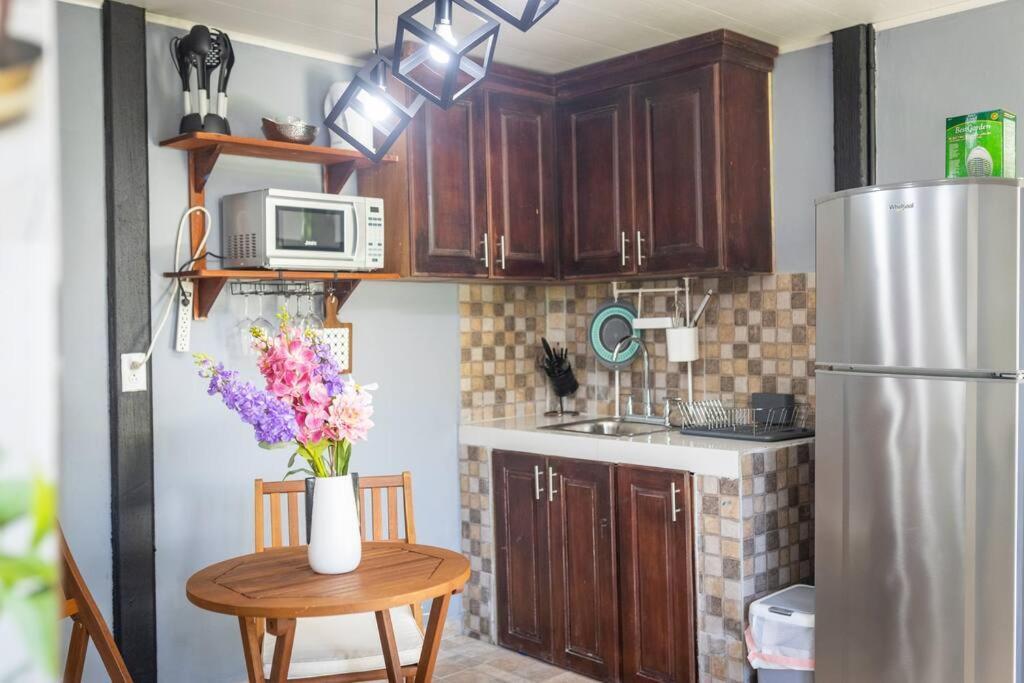 Dos Morenas Apartments - Apt 3 Bajo Boquete エクステリア 写真