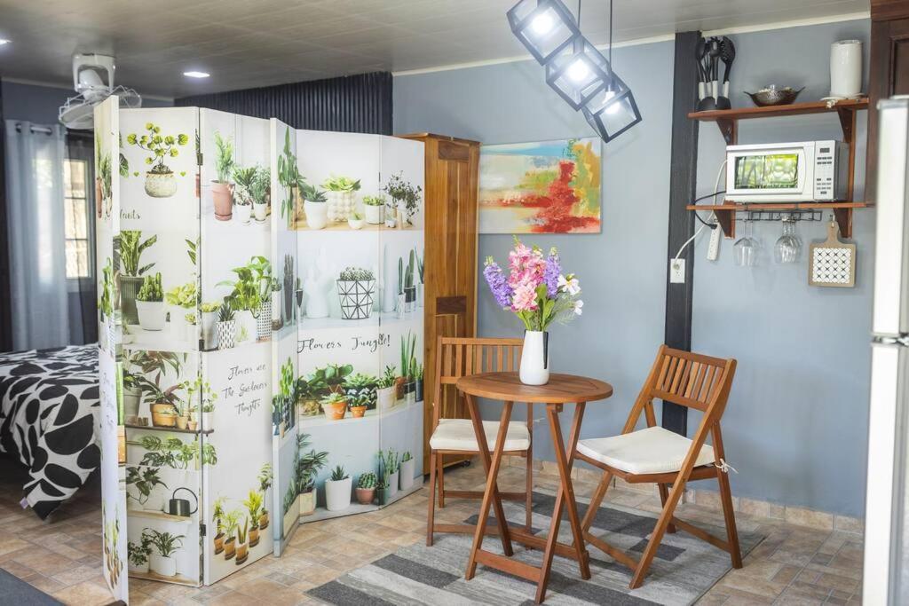 Dos Morenas Apartments - Apt 3 Bajo Boquete エクステリア 写真