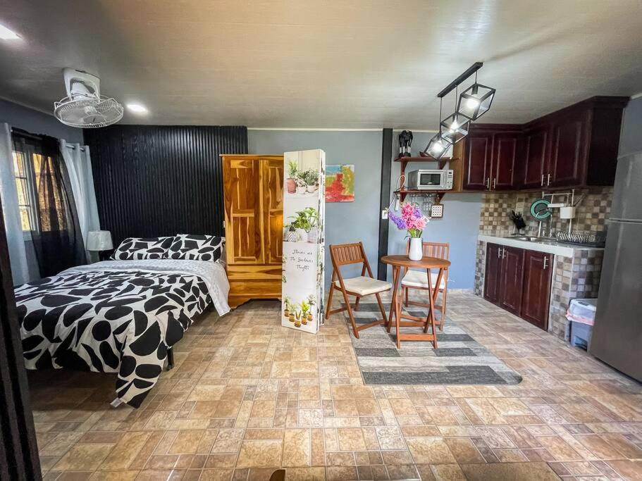 Dos Morenas Apartments - Apt 3 Bajo Boquete エクステリア 写真